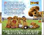 miniatura air-buddies-por-jrc cover divx