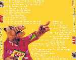 miniatura alf-temporada-02-por-vigilantenocturno cover divx