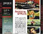 miniatura american-strays-por-jrc cover divx