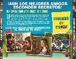 miniatura amigos-de-copas-por-chechelin cover divx