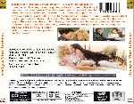 miniatura amigos-muy-intimos-por-mastercustom cover divx