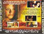miniatura amistades-enganosas-por-jrc cover divx