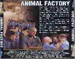 miniatura animal-factory-por-seaworld cover divx