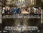 miniatura animales-fantasticos-y-donde-encontrarlos-por-tonype cover divx