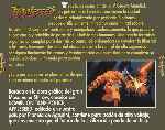 miniatura appleseed-por-franki cover divx