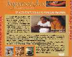 miniatura ayurveda-el-arte-de-vivir-por-jrc cover divx