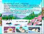 miniatura balto-rescate-del-avion-perdido-por-jrc cover divx