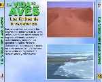 miniatura bbc-la-vida-de-las-aves-capitulo-10-por-agustin cover divx