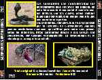 miniatura bbc-serpientes-increibles-por-jonander1 cover divx