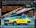 miniatura borning-por-chechelin cover divx
