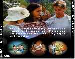 miniatura buscadores-de-oro-el-secreto-de-la-montana-de-los-osos-por-jrc cover divx