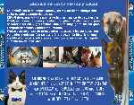 miniatura como-perros-y-gatos-la-revancha-de-kitty-galore-por-chechelin cover divx