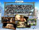 miniatura copito-de-nieve-2011-por-tonype cover divx