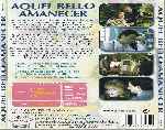 miniatura corin-tellado-aquel-bello-amanecer-por-enrique1967 cover divx