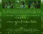 miniatura cosas-insignificantes-por-3enuno cover divx