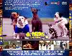 miniatura de-patitas-a-la-calle-por-chechelin cover divx