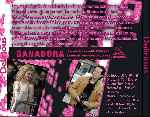 miniatura delirious-por-jldec cover divx