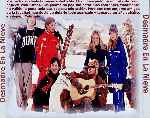 miniatura desmadre-en-la-nieve-por-jonymas cover divx