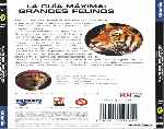 miniatura discovery-channel-la-guia-maxima-grandes-felinos-por-ronaldomake cover divx