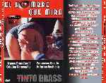 miniatura el-hombre-que-mira-por-el-verderol cover divx