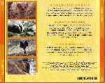 miniatura el-hombre-y-la-tierra-volumen-09-fauna-iberica-por-jrc cover divx