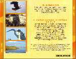 miniatura el-hombre-y-la-tierra-volumen-12-fauna-iberica-por-jrc cover divx