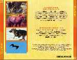 miniatura el-hombre-y-la-tierra-volumen-20-fauna-iberica-por-jrc cover divx