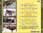 miniatura el-hombre-y-la-tierra-volumen-25-fauna-canadiense-por-jrc cover divx