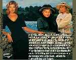 miniatura el-pico-de-las-viudas-por-agustin cover divx
