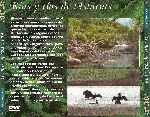 miniatura espacios-naturales-de-asturias-05-rias-y-rios-de-asturias-por-chechelin cover divx