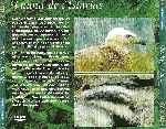 miniatura espacios-naturales-de-asturias-06-fauna-de-asturias-por-chechelin cover divx