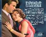 miniatura esplendor-en-la-yerba-v2-por-agustin cover divx