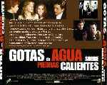 miniatura gotas-de-agua-sobre-piedras-calientes-por-el-verderol cover divx