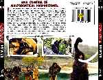 miniatura homo-erectus-por-antco cover divx