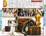 miniatura hotel-para-perros-por-jrc cover divx