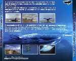miniatura imax-13-ballenas-un-viaje-inolvidable-por-agustin cover divx