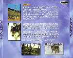 miniatura imax-29-lobos-por-agustin cover divx