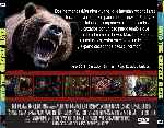 miniatura into-the-grizzly-maze-por-chechelin cover divx