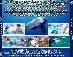 miniatura la-gran-aventura-de-winter-por-chechelin cover divx