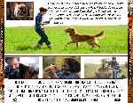 miniatura la-razon-de-estar-contigo-por-chechelin cover divx