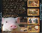 miniatura la-telarana-de-carlota-v2-por-jrc cover divx