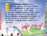 miniatura la-tostadora-valiente-por-el-verderol cover divx
