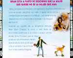 miniatura la-verdad-sobre-perros-y-gatos-por-el-verderol cover divx