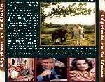 miniatura lagrimas-en-la-lluvia-por-warcond cover divx