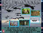 miniatura las-estaciones-por-chechelin cover divx