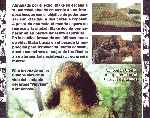 miniatura last-days-por-warcond cover divx