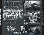 miniatura los-amantes-de-la-noche-por-jrc cover divx