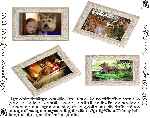 miniatura mi-mejor-amigo-2005-v2-por-tiroloco cover divx