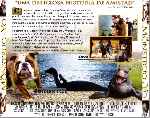miniatura mi-monstruo-y-yo-por-jrc cover divx
