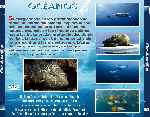 miniatura oceanos-por-chechelin cover divx